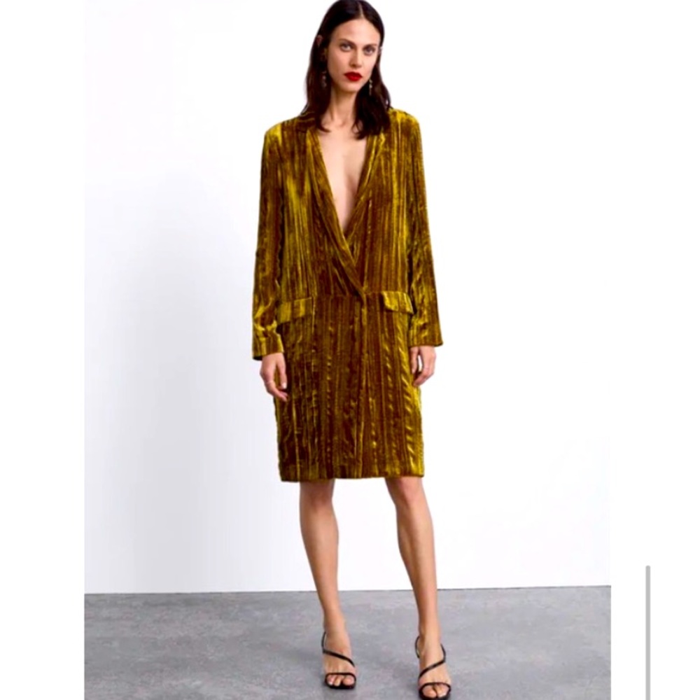 Zara silk velvet blazer/ duster, limited edition size S